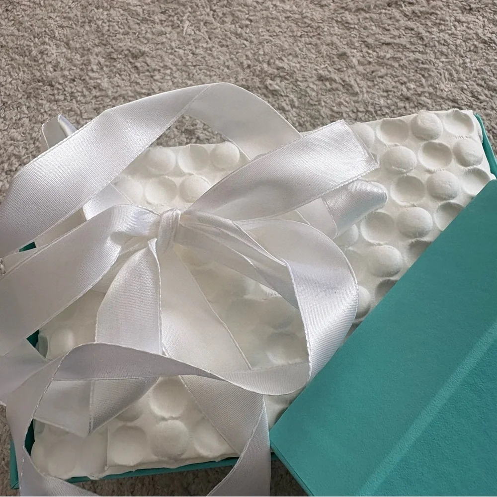 Tiffany & Co. Robin’s Egg Blue Gift Box with White Ribbon